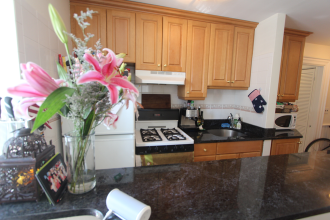 3 - Conveniently located Harvard Square condo available ASAP.